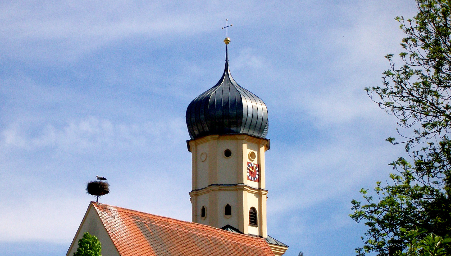 Fünf nach Zehn ... und bald gibt's Storchennachwuchs