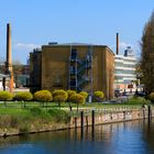 FÜNF NICHTRAUCHER AN DER SPREE