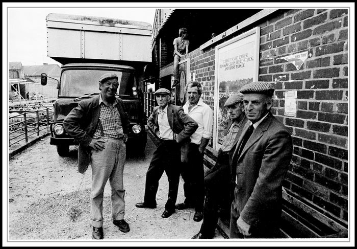 Fünf Schäfer und zwei Jungen, England, Cornwall 1984