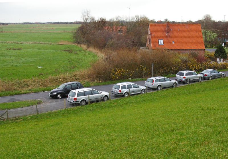 ....fünf " Silberlinge " und das "schwarze Schaf"...