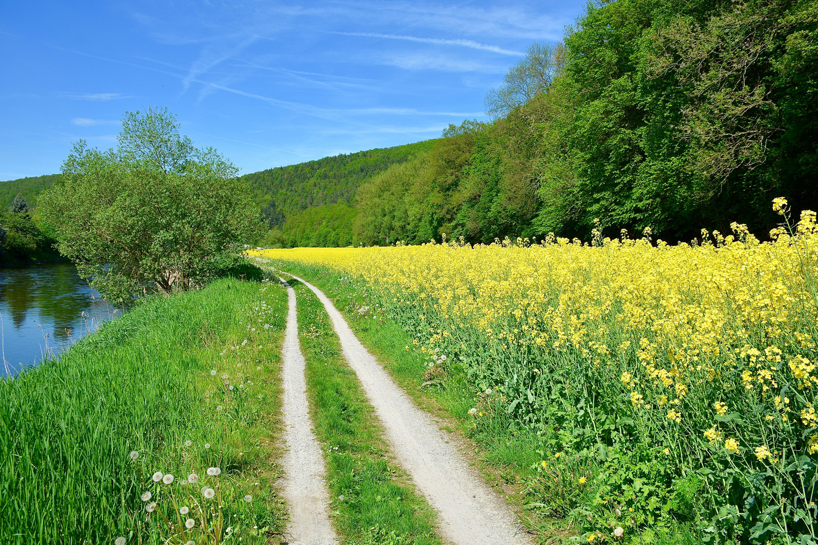 Fünf Sterne Radweg