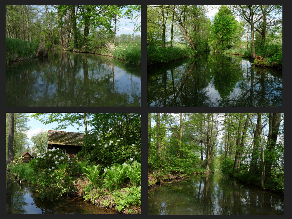 Fünf Stunden so durch den grünen Spreewald.....