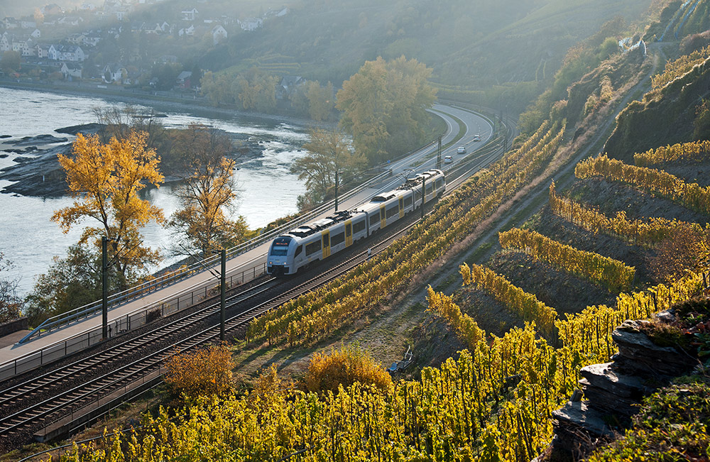 Fünf Tage im Herbst - II -