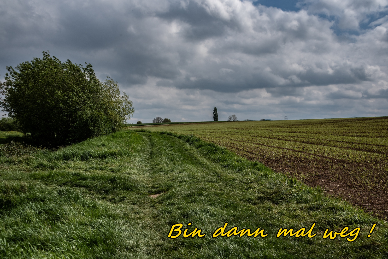 Fünf Tage Urlaub kommen auf mich zu.