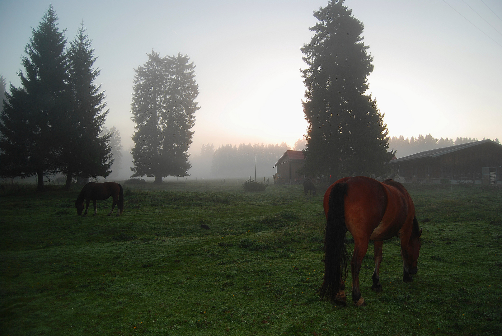 Fünf Uhr Morgens...