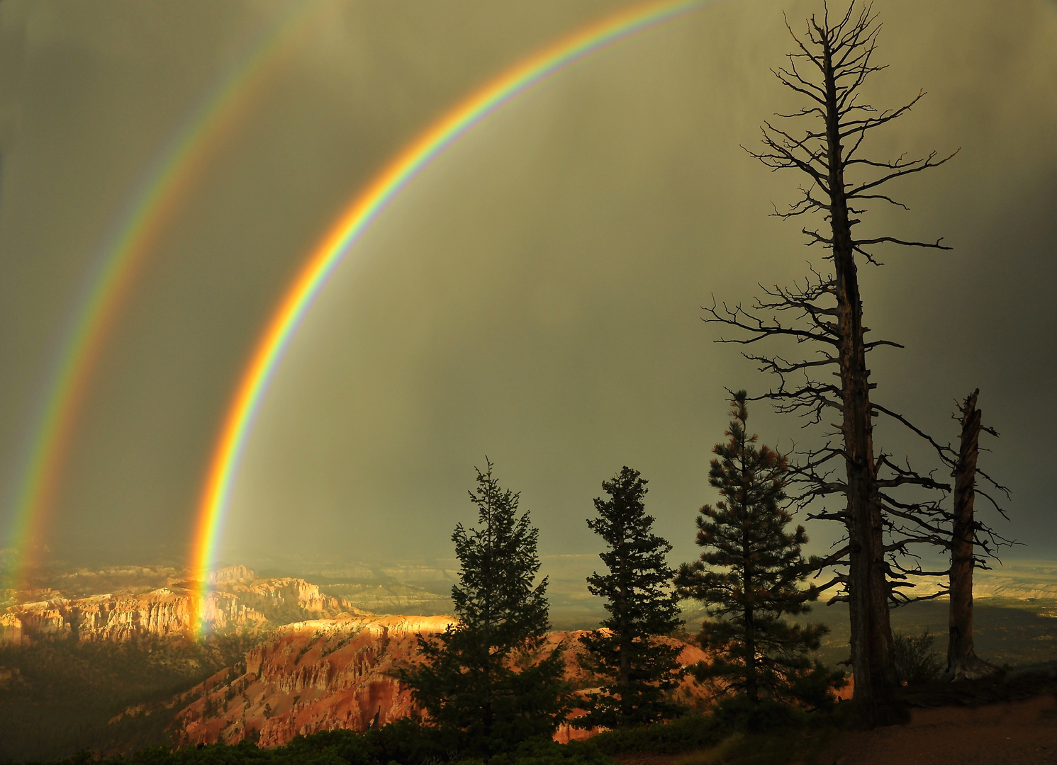 Fünf unter dem Regenbogen