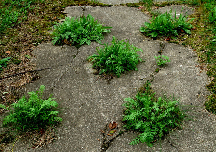 Fünfer mit Zusatzzahl in Beton