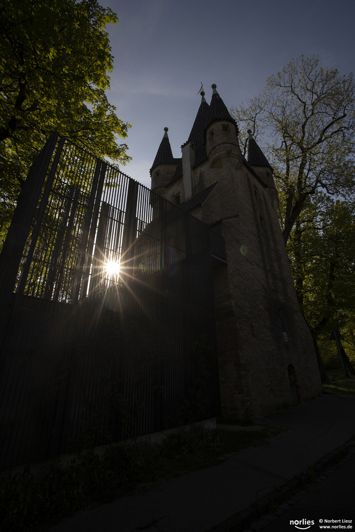 Fünffingerlesturm im Gegenlicht