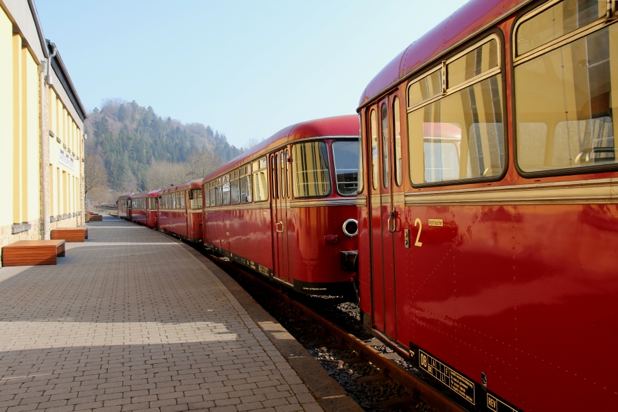 Fünfteilig am Morgen