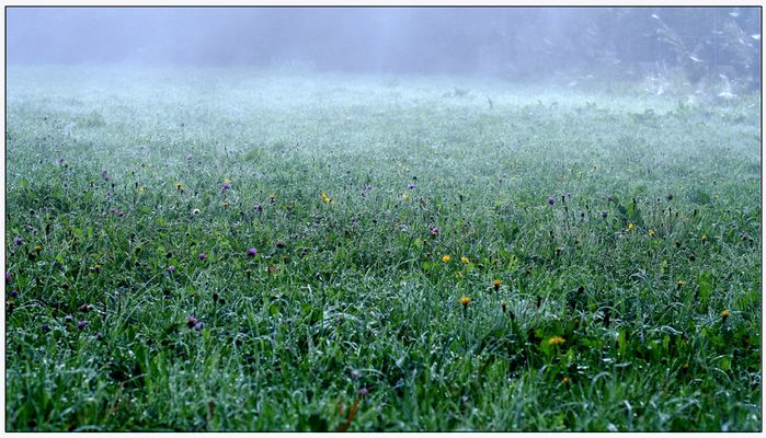 fünfuhrfünfundvierzig