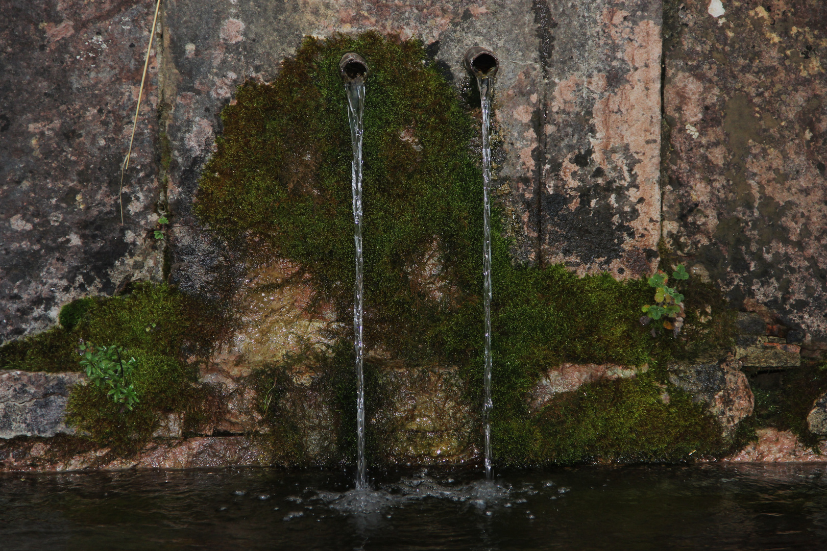 ... Fuente de agua