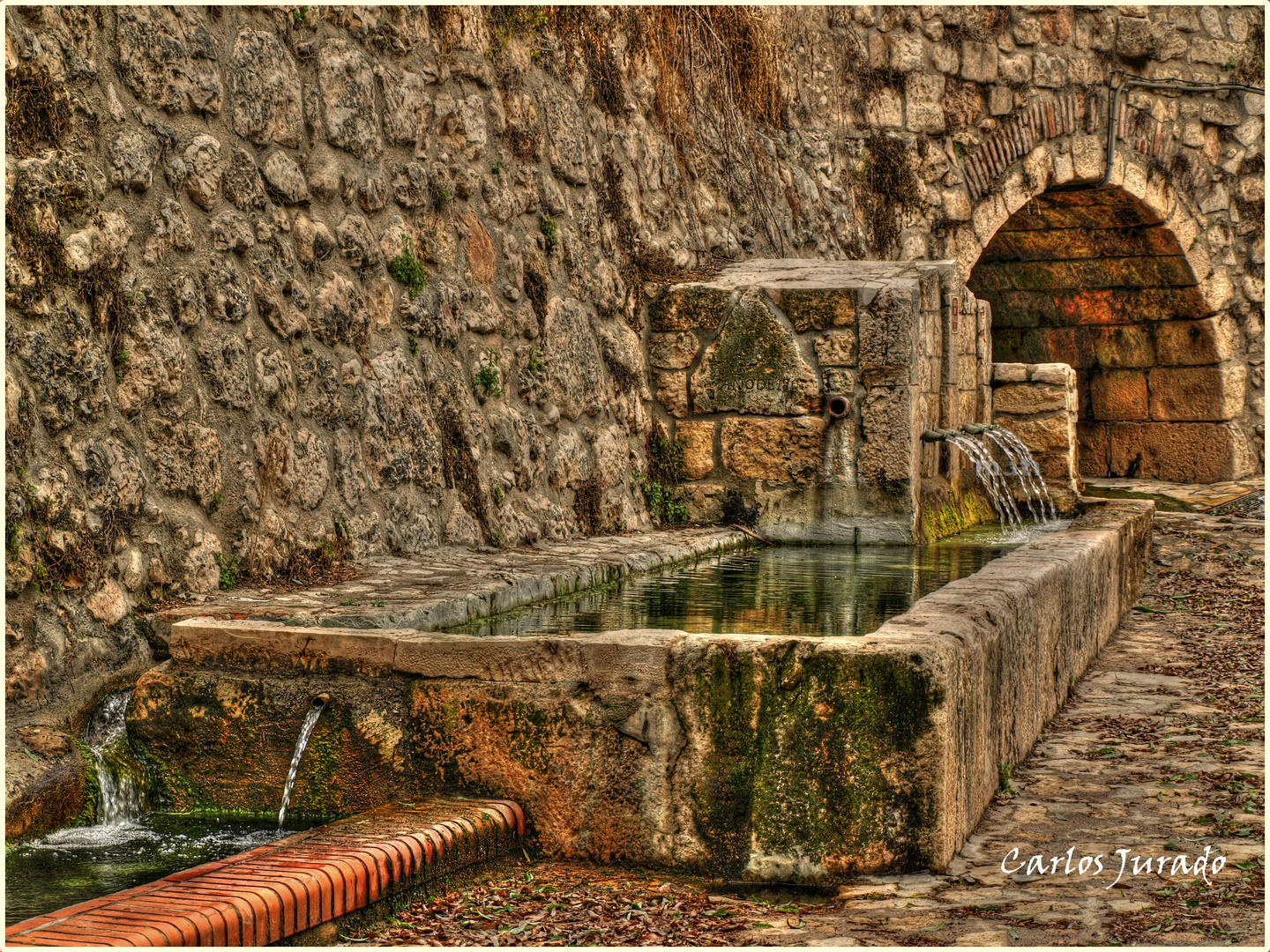 Fuente de chorros