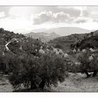 Fuente de la Peña, Jaén