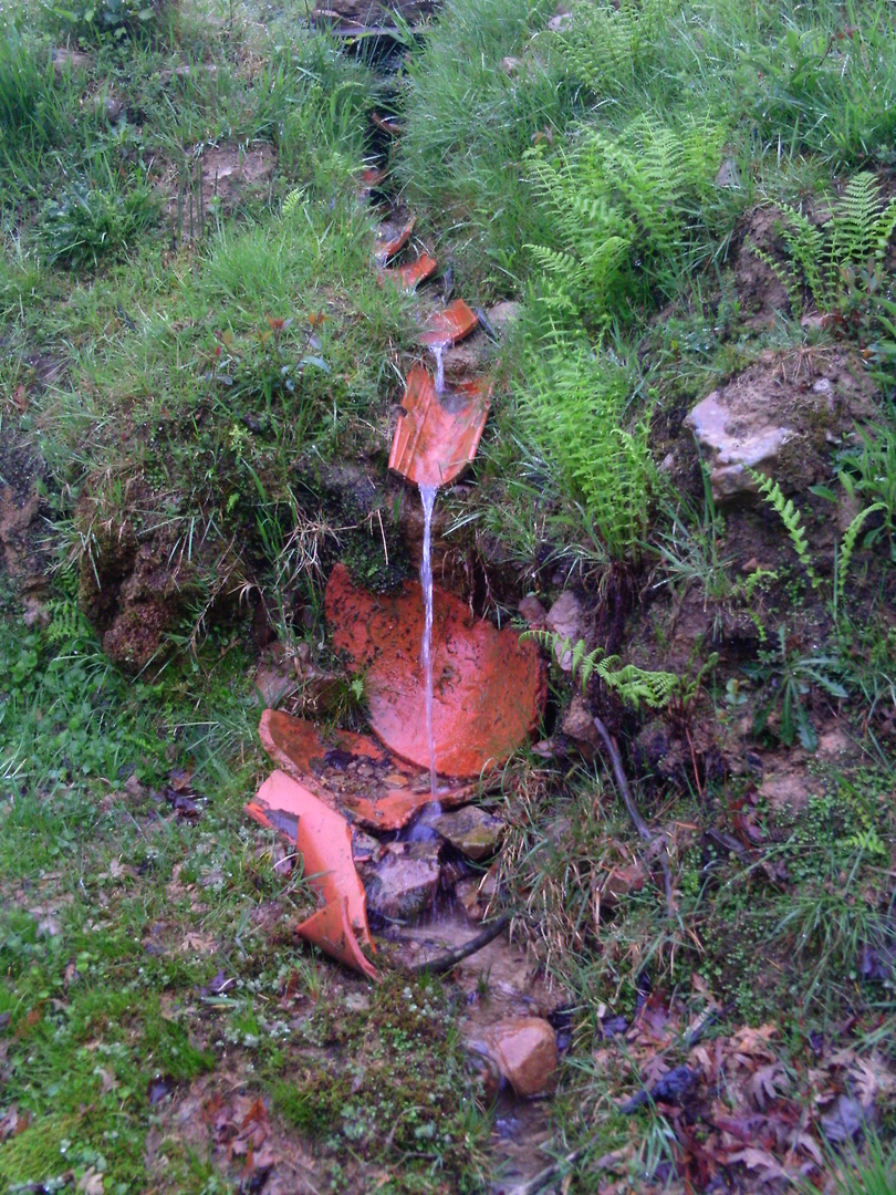 fuente de naturaleza