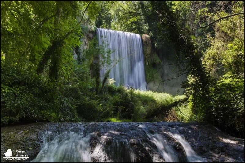 Fuente de vida