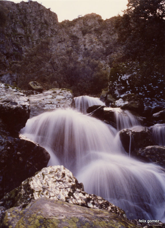 fuente de vida