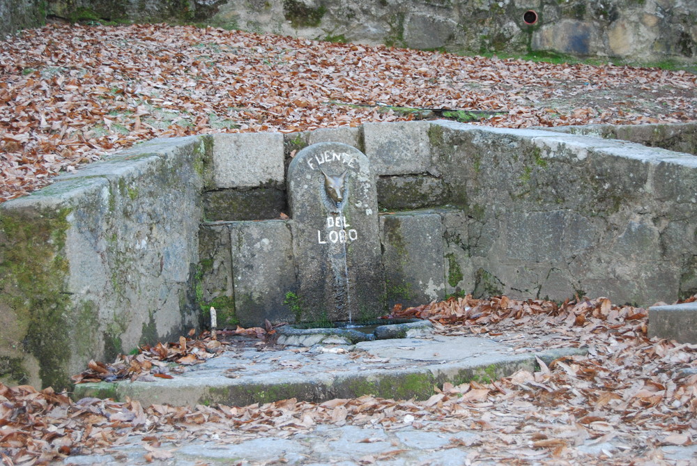 Fuente del Lobo