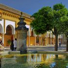 FUENTE DEL PATIO DE LOS NARANJOS.