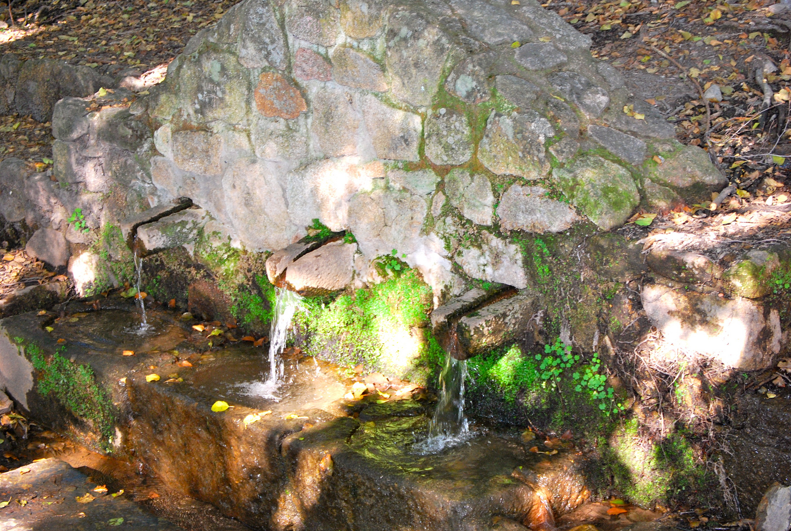 fuente tres caños  (  monfrague extremadura  )