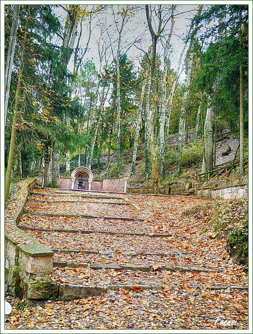 Fuentes Blancas, Burgos