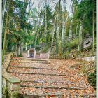 Fuentes Blancas, Burgos