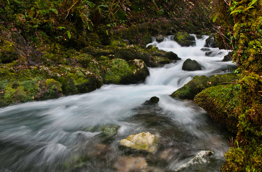 Fuentes de Obaya