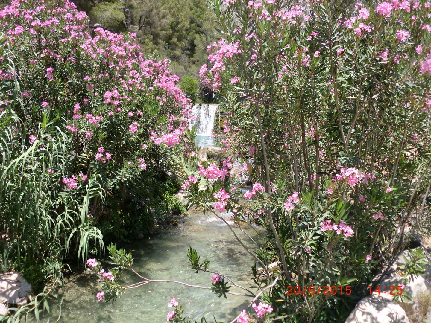 Fuentes del Algar 2