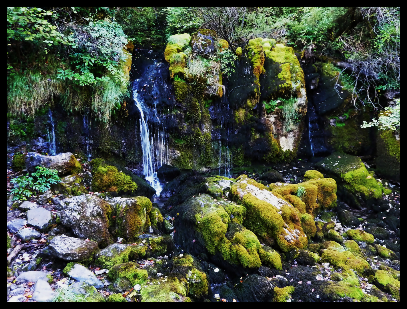 FUENTES DEL RIO BASTARENY