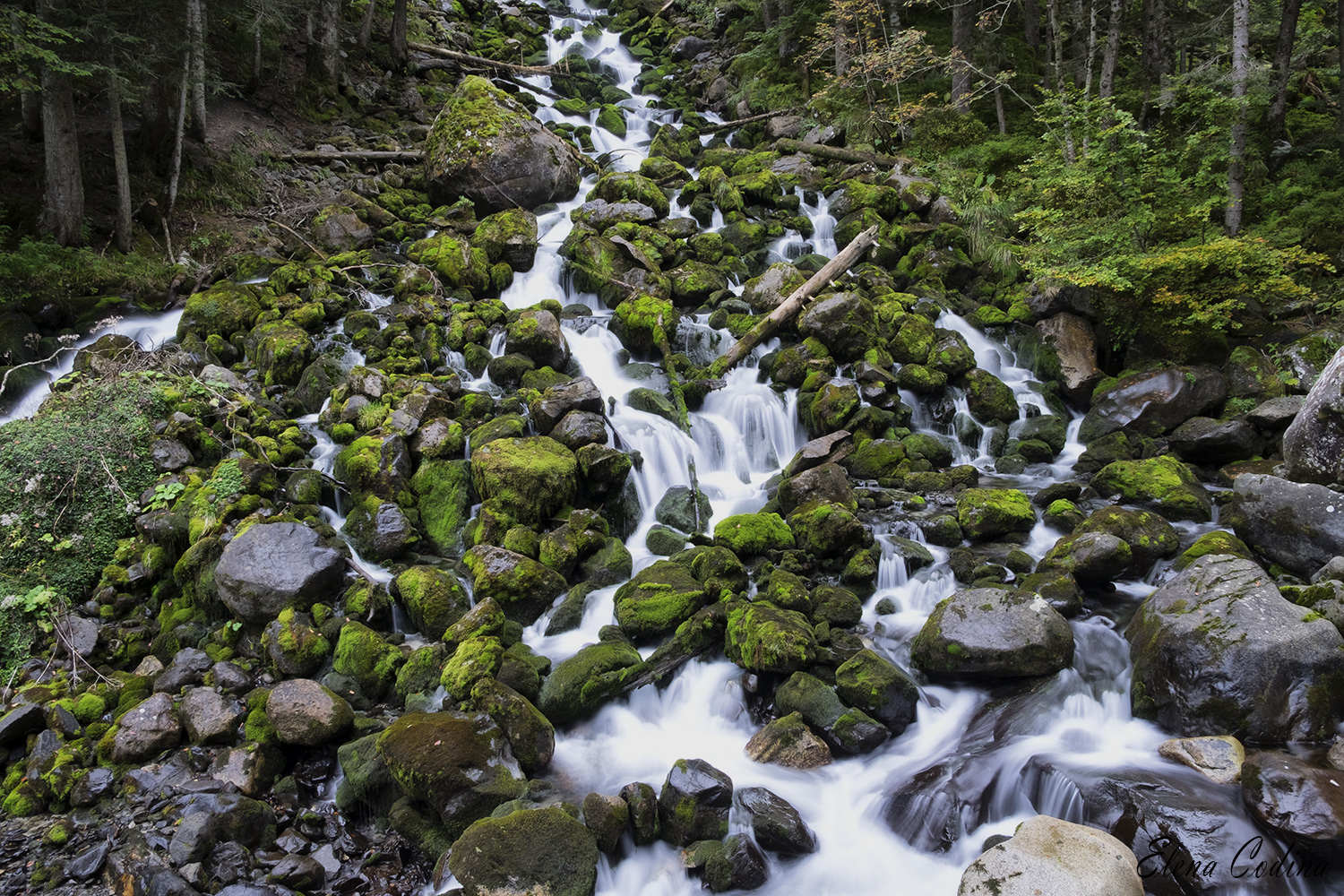 Fuentes del Rio Joeu - Valle de Aran