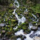 Fuentes del Rio Joeu - Valle de Aran