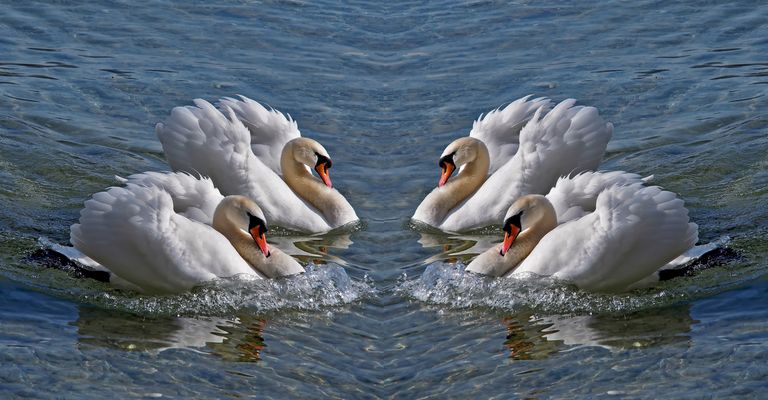 Für Alice: Sie sind zusammengekommen, um dir gemeinsam einen frohen Geburtstag zu wünschen! 