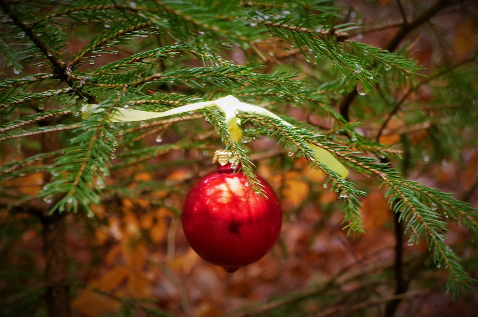 Für Alle die ich "vergaß" zu besuchen - Danke und Frohe Weihnachten