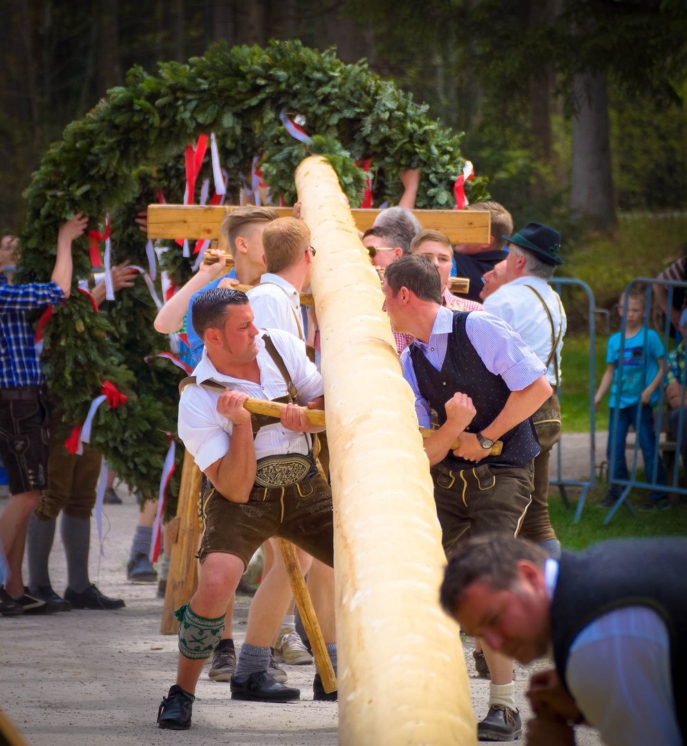 Für alle die ihn nicht kennen - Der Maibaum