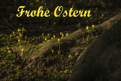 Für alle Fotofreunde und Besucher dieser Seite