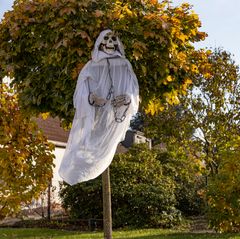 Für alle Halloweenliebhaber 