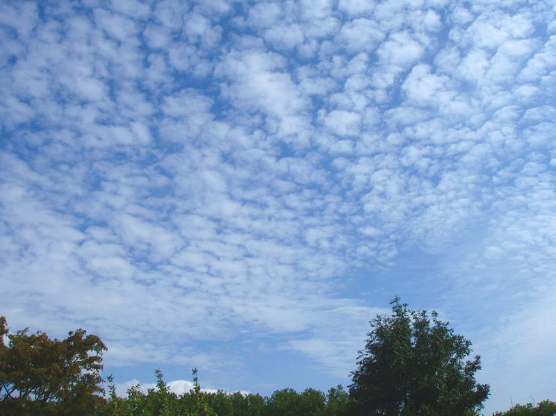 Für alle Schlafgestörten: Schäfchen (-wolken) zählen