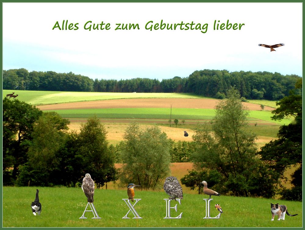 Für Axel Foto & Bild gratulation und feiertage, geburtstag