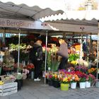 Für Blumenfreunde- Viktualienmarkt München