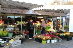 Für Blumenfreunde- Viktualienmarkt München