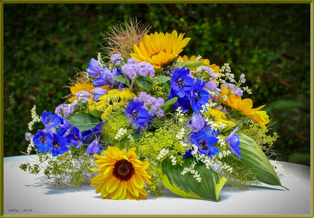 Fur Blumenwesen Zum Geburtstag Foto Bild Gratulation Und Feiertage Natur Tabletop Natur Kreativ Bilder Auf Fotocommunity