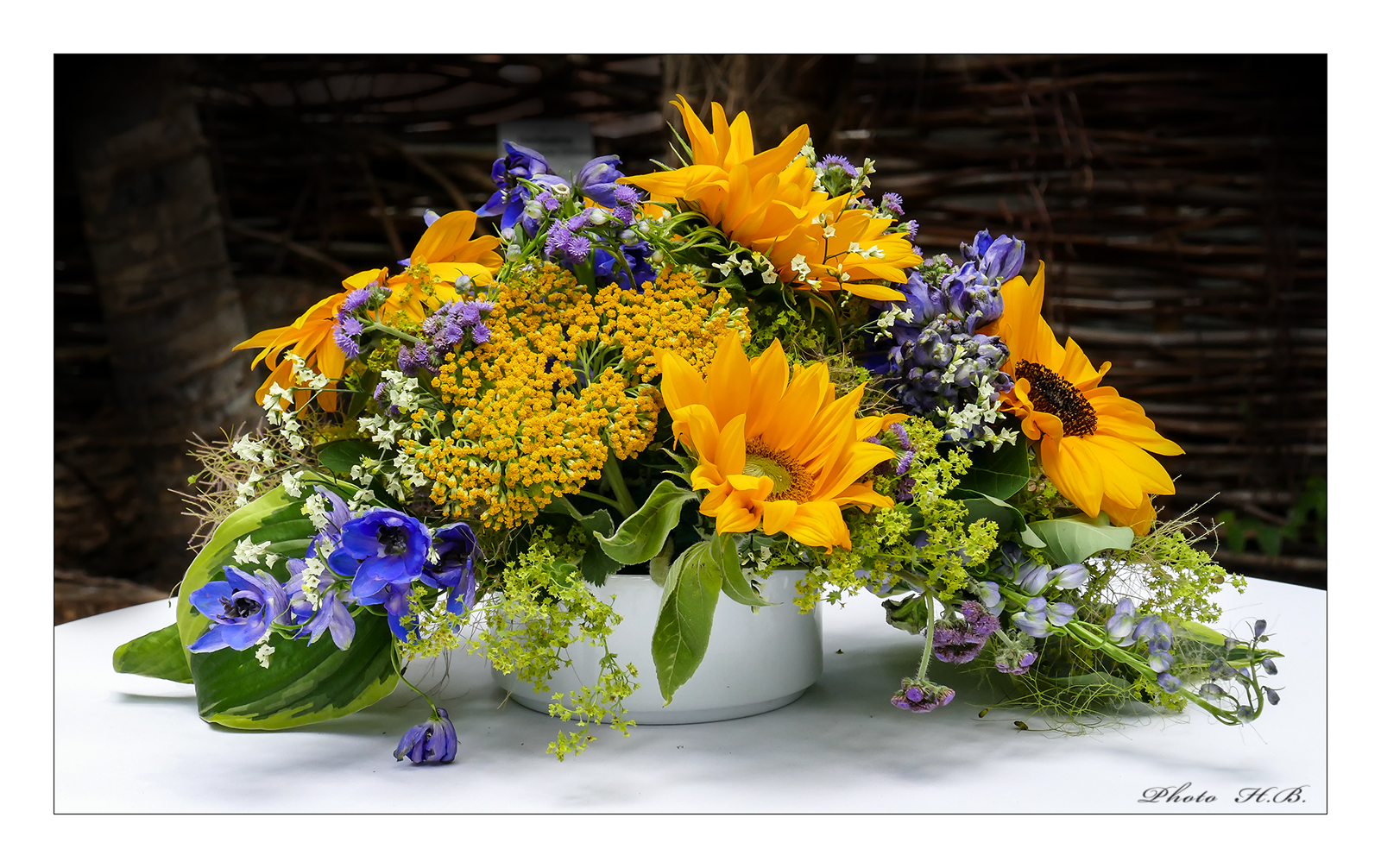 RE: HAPPY BIRTHDAY, liebe Gaby - 3