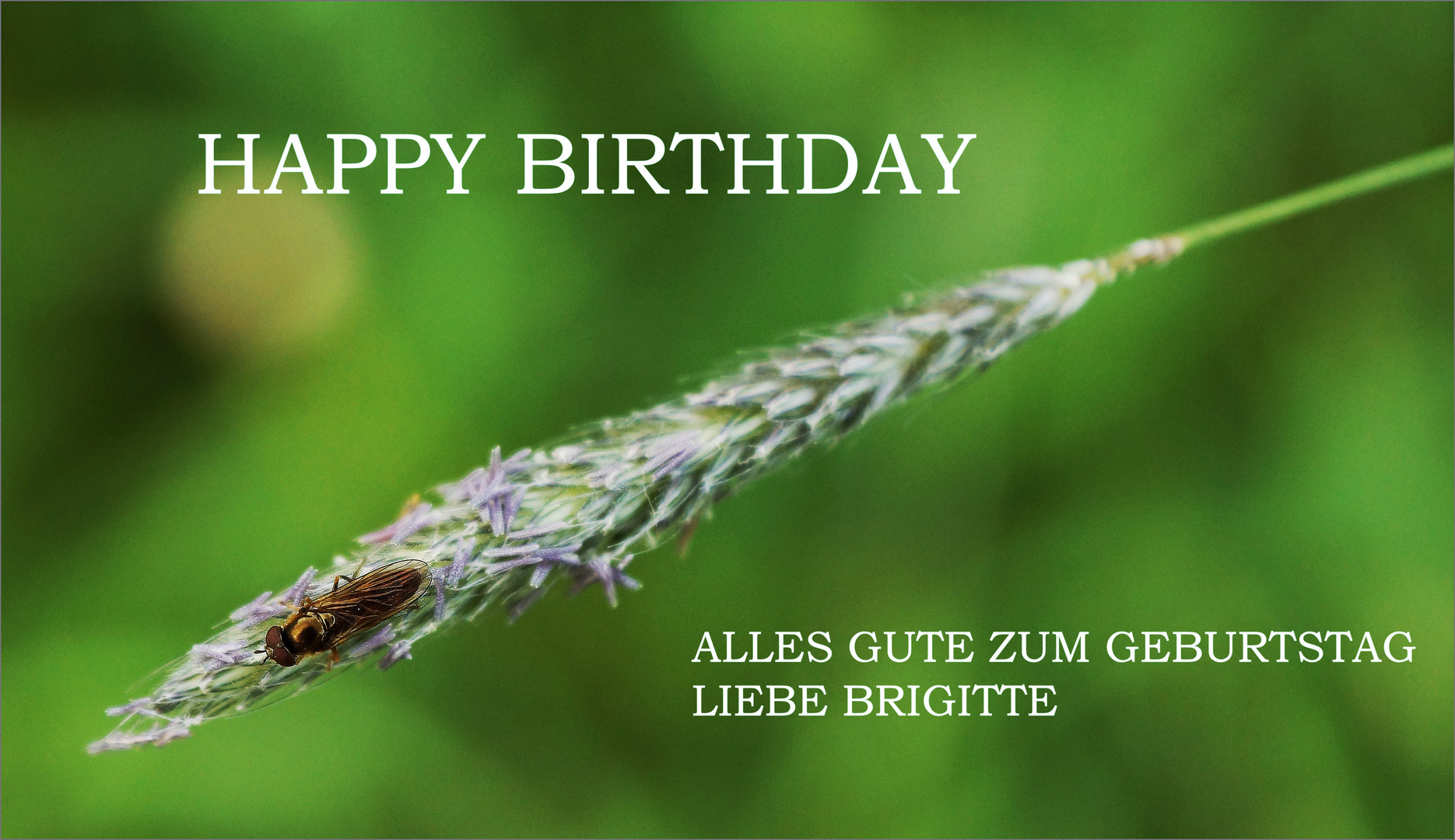 für Brigittes Geburtstag