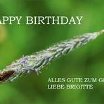 für Brigittes Geburtstag