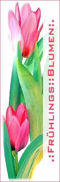 .:Für das Frühlingsblumen-Übersichts-Buch:.