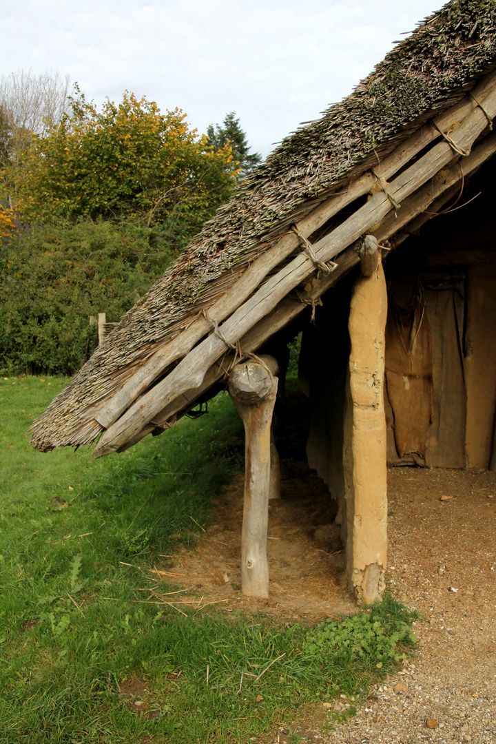 Für den Holzwurm