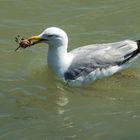 für den kleinen Hunger zwischendurch