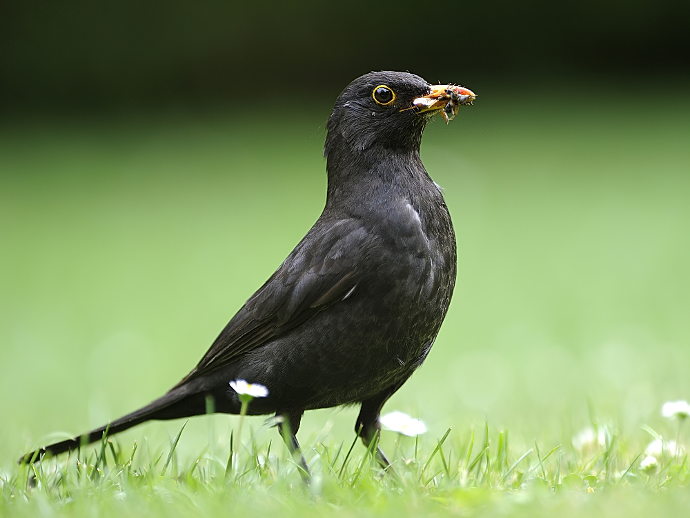 Für den kleinen Hunger zwischendurch