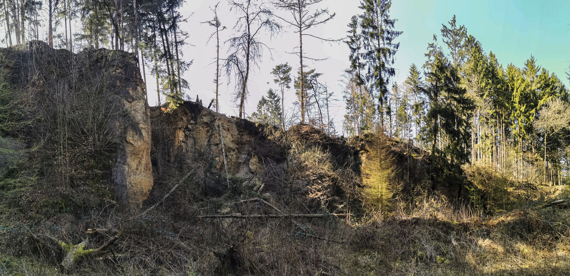 Für den kranken Wald ist zur Zeit kein Intensivbett mehr frei