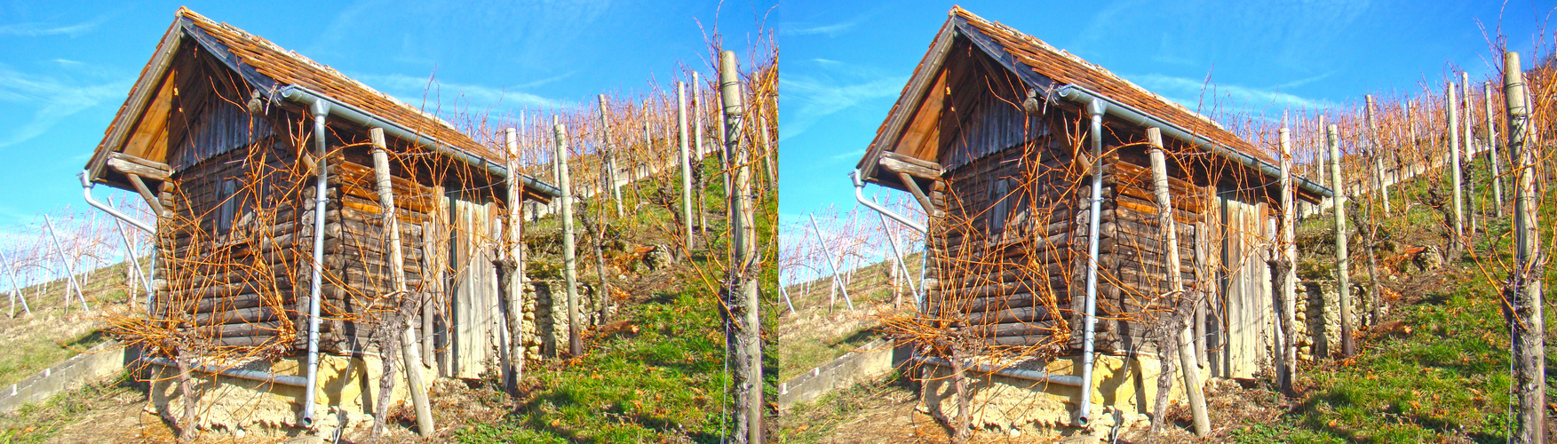 Für den Moment, Ruhe im Weinberg...