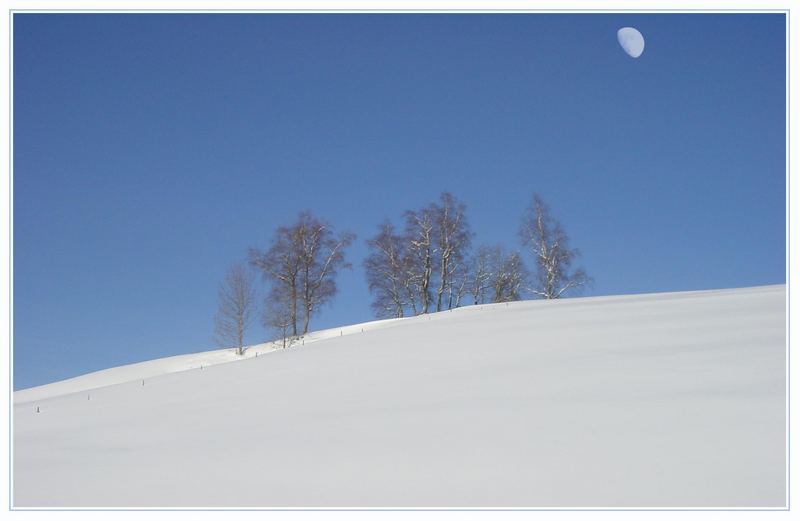 für den Mondwind von Daniela W-T